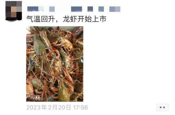 8月11日今日金價(jià)(8月11日今日金價(jià)多少錢)插圖9