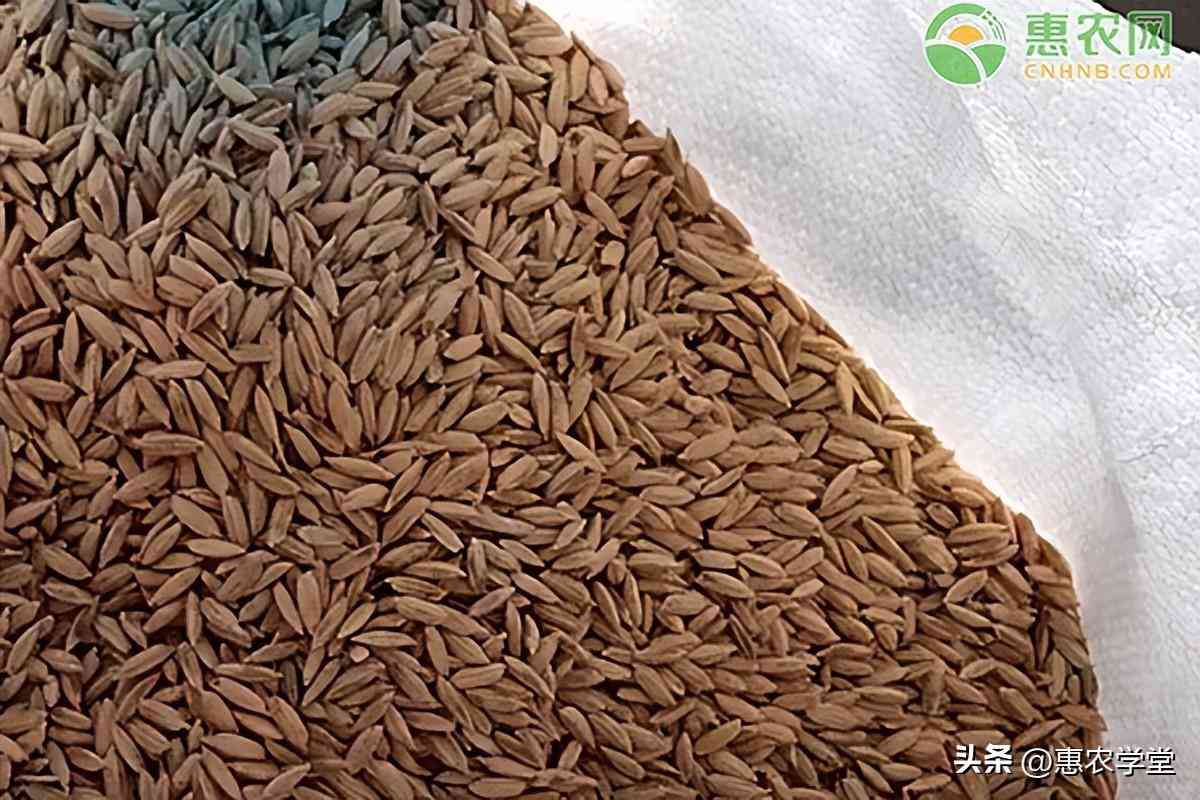 松原2023今日金價(jià)(松原今日黃金價(jià)格)