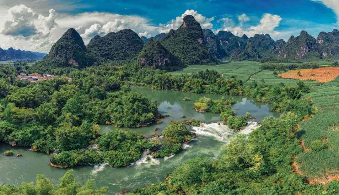 嬰猴幼崽今日黃金價(jià)格(小嬰猴價(jià)格)插圖2