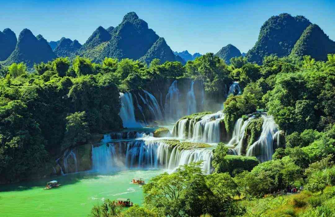 嬰猴幼崽今日黃金價(jià)格(小嬰猴價(jià)格)插圖3