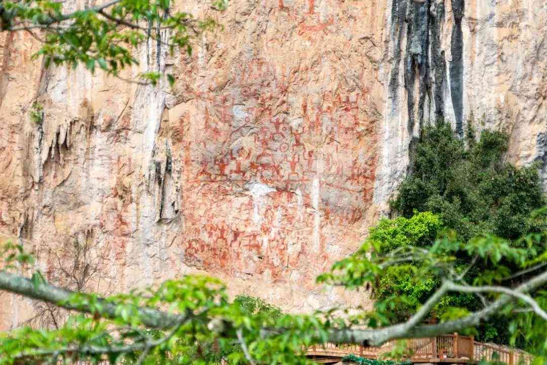 嬰猴幼崽今日黃金價(jià)格(小嬰猴價(jià)格)插圖4