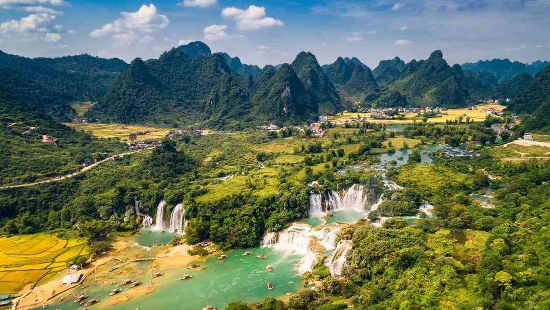 嬰猴幼崽今日黃金價(jià)格(小嬰猴價(jià)格)插圖8