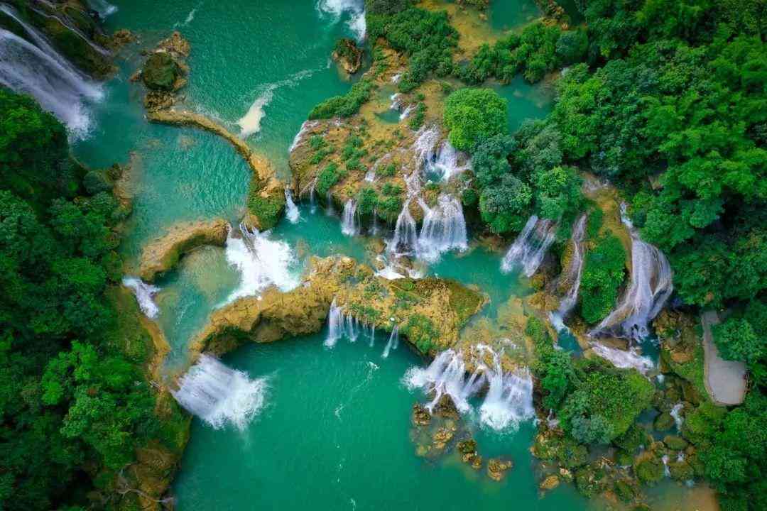 嬰猴幼崽今日黃金價(jià)格(小嬰猴價(jià)格)插圖9