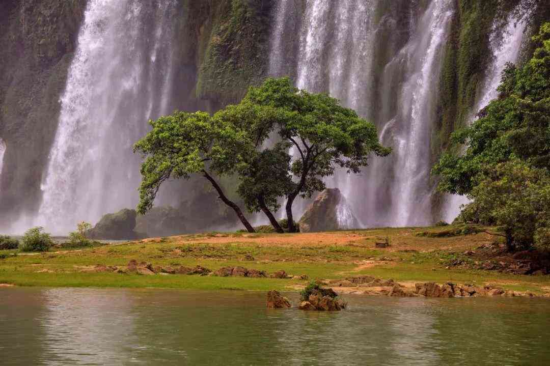 嬰猴幼崽今日黃金價(jià)格(小嬰猴價(jià)格)插圖10