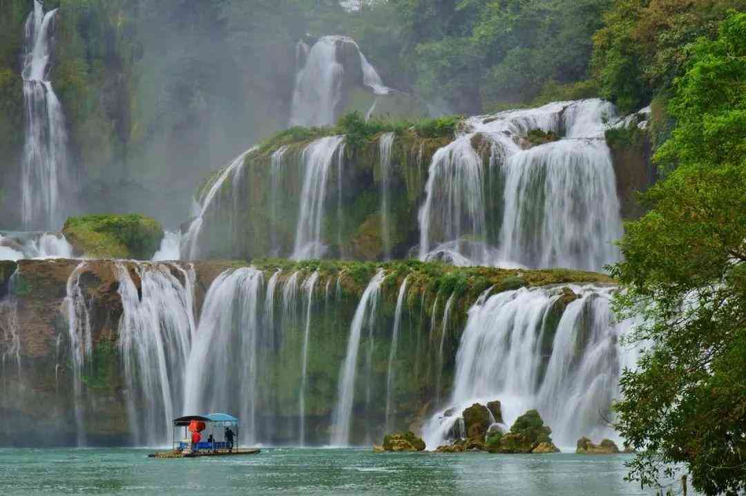 嬰猴幼崽今日黃金價(jià)格(小嬰猴價(jià)格)插圖11