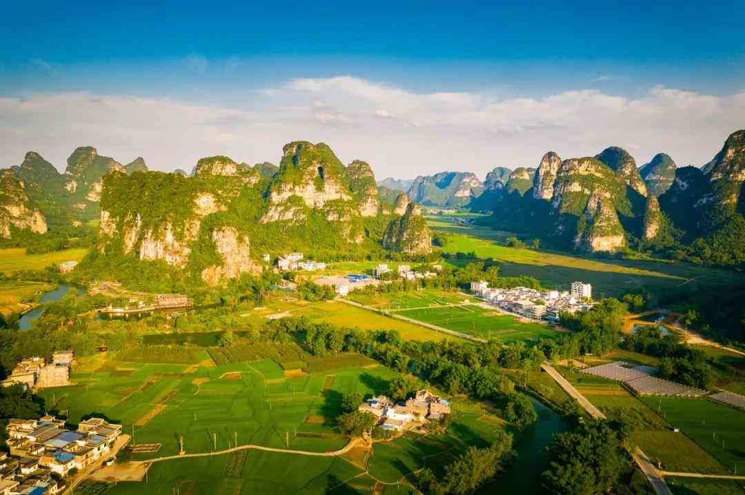 嬰猴幼崽今日黃金價(jià)格(小嬰猴價(jià)格)插圖12