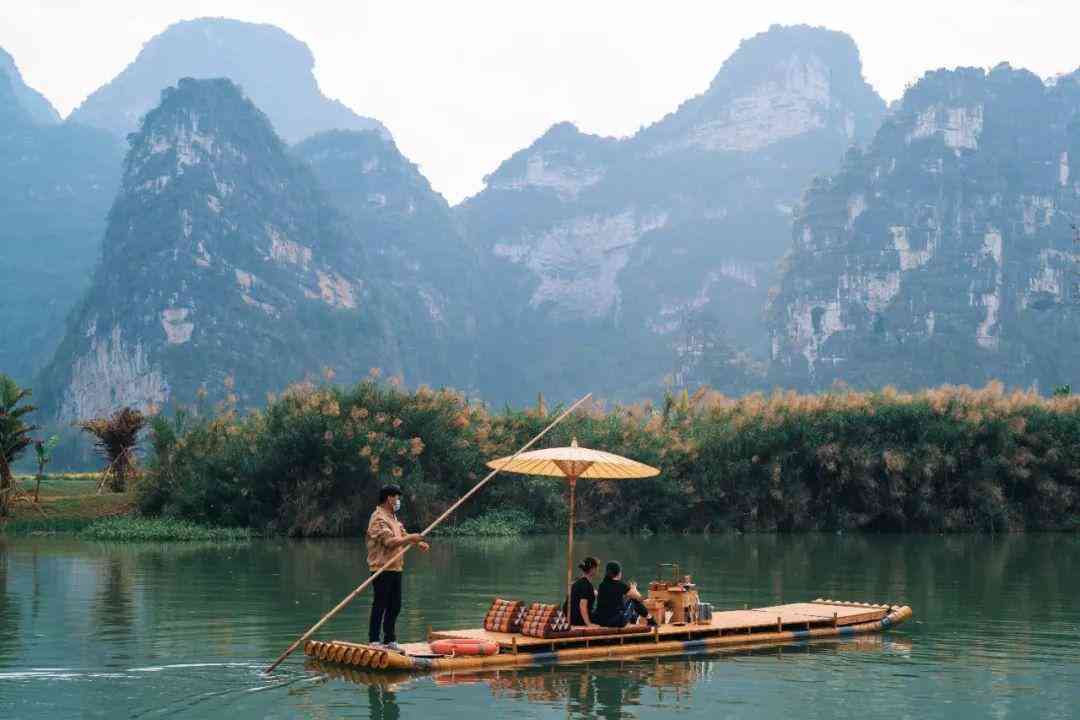 嬰猴幼崽今日黃金價(jià)格(小嬰猴價(jià)格)插圖13