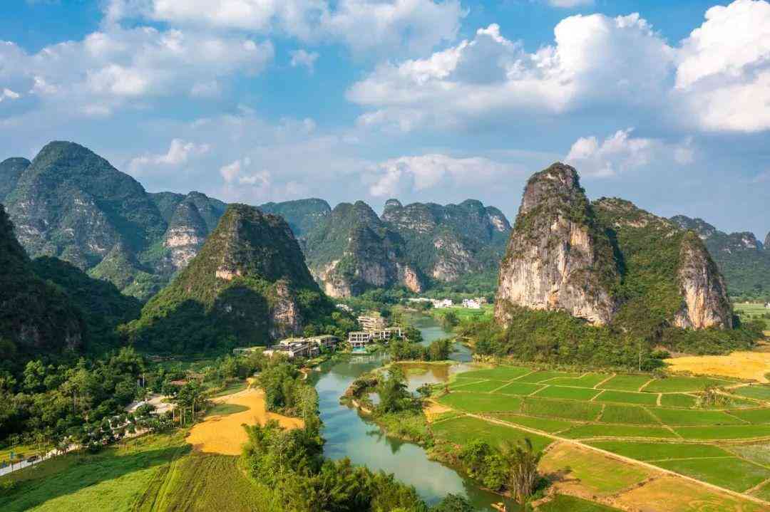 嬰猴幼崽今日黃金價(jià)格(小嬰猴價(jià)格)插圖14