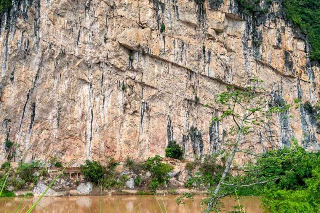 嬰猴幼崽今日黃金價(jià)格(小嬰猴價(jià)格)插圖15