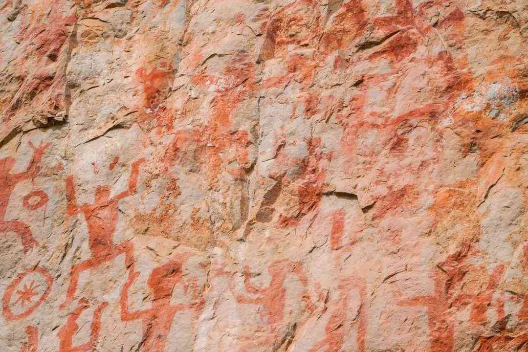 嬰猴幼崽今日黃金價(jià)格(小嬰猴價(jià)格)插圖17