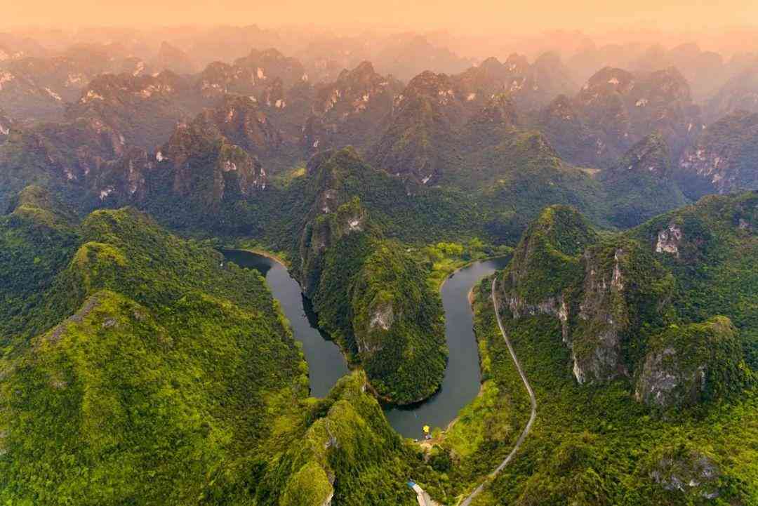 嬰猴幼崽今日黃金價(jià)格(小嬰猴價(jià)格)插圖18