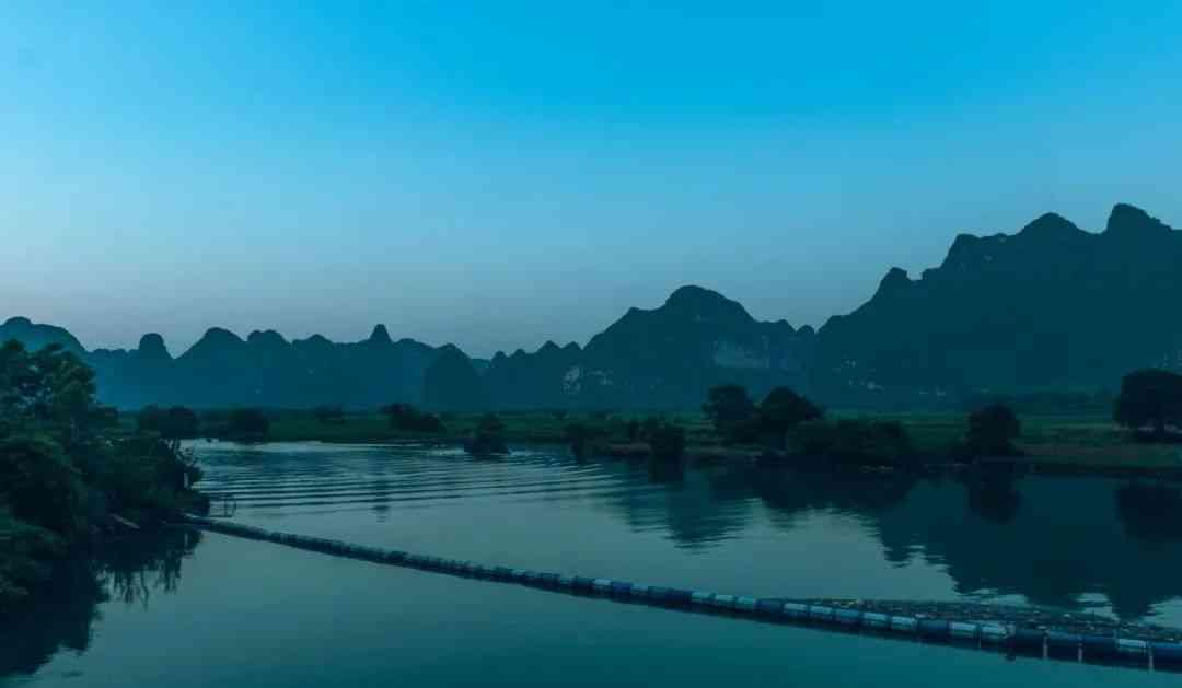 嬰猴幼崽今日黃金價(jià)格(小嬰猴價(jià)格)插圖19