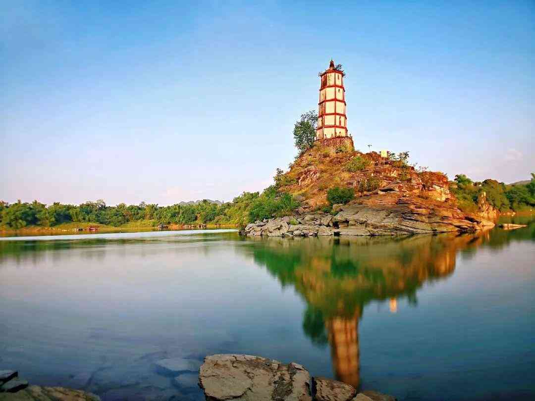 嬰猴幼崽今日黃金價(jià)格(小嬰猴價(jià)格)插圖24