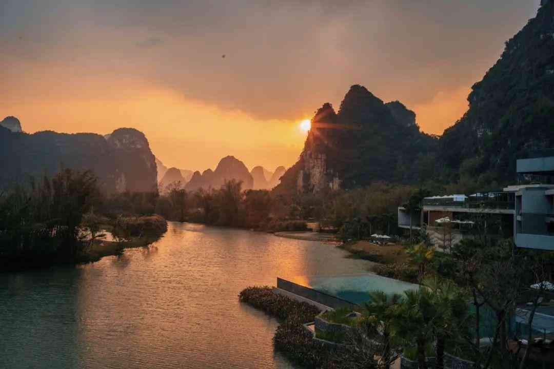 嬰猴幼崽今日黃金價(jià)格(小嬰猴價(jià)格)插圖40