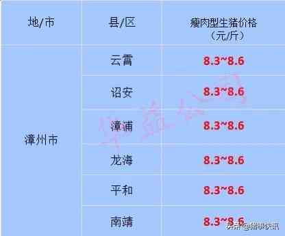 福建黃金金價(jià)今日價(jià)格(福建黃金金價(jià)今日價(jià)格表)插圖1