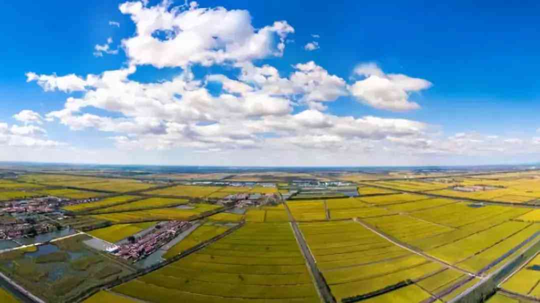 寶坻黃金價(jià)格今日查詢(寶坻黃金價(jià)格今日查詢消息)