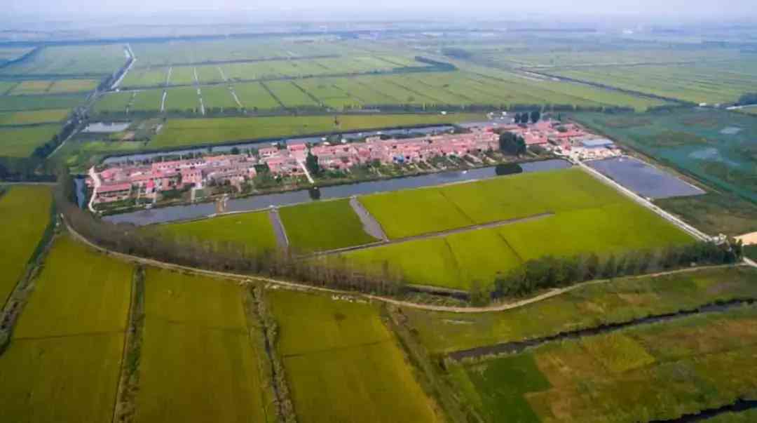 寶坻黃金價格今日查詢(寶坻黃金價格今日查詢消息)插圖2