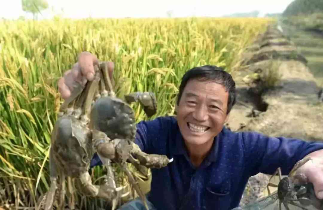 寶坻黃金價格今日查詢(寶坻黃金價格今日查詢消息)插圖3