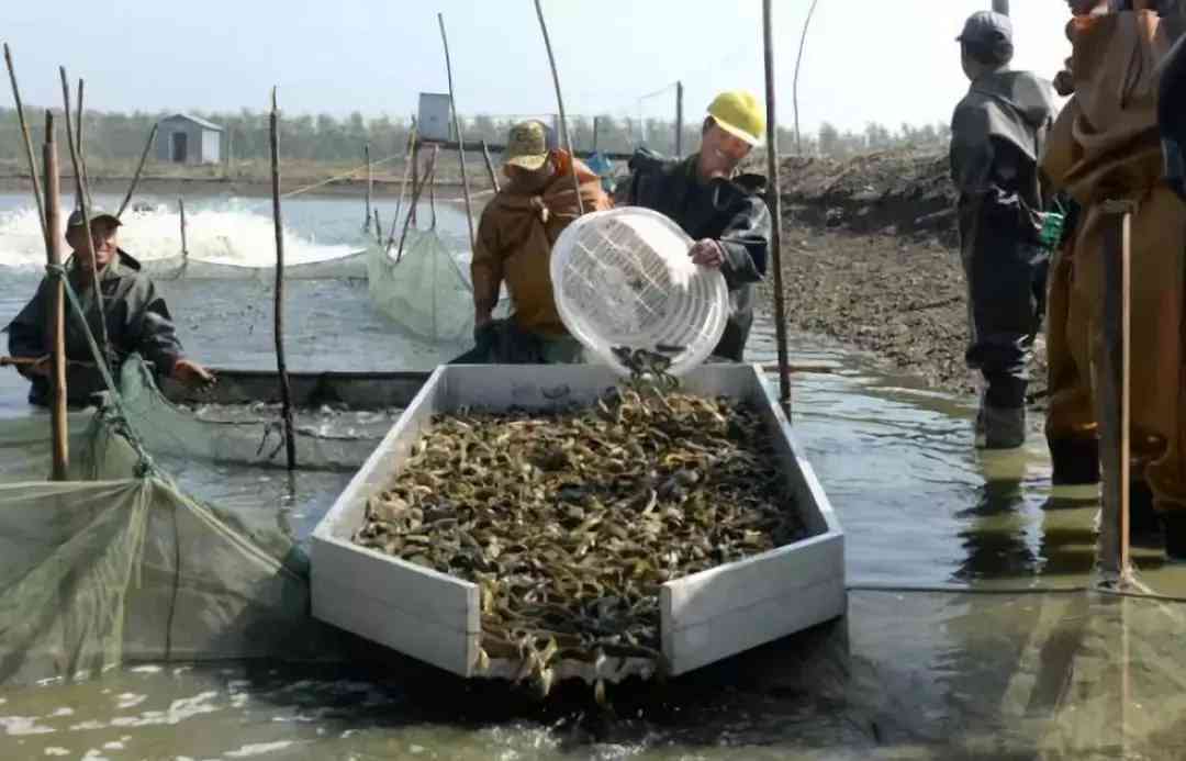 寶坻黃金價格今日查詢(寶坻黃金價格今日查詢消息)插圖4