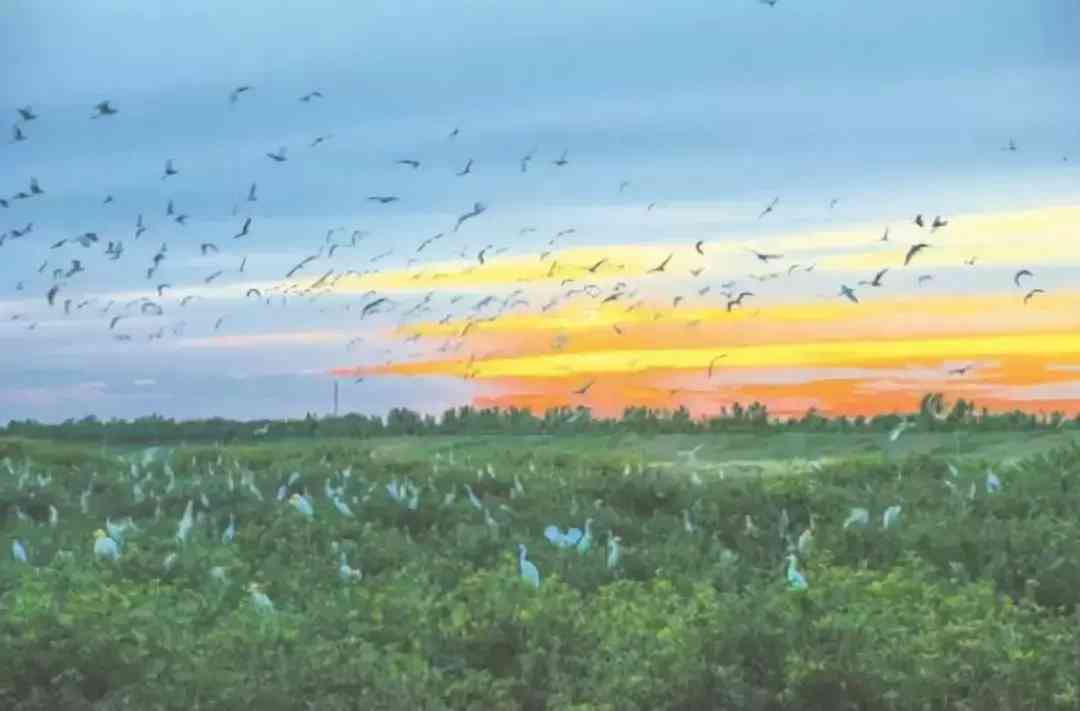 寶坻黃金價格今日查詢(寶坻黃金價格今日查詢消息)插圖5