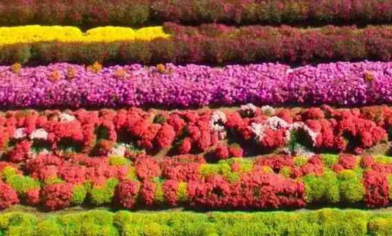 寶坻黃金價格今日查詢(寶坻黃金價格今日查詢消息)插圖6