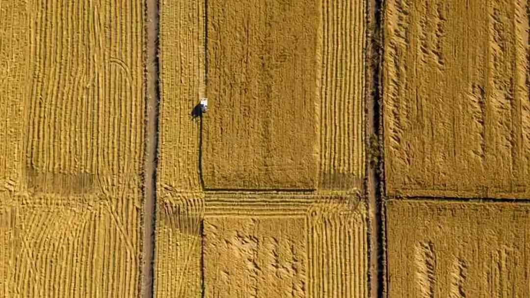 寶坻黃金價格今日查詢(寶坻黃金價格今日查詢消息)插圖8