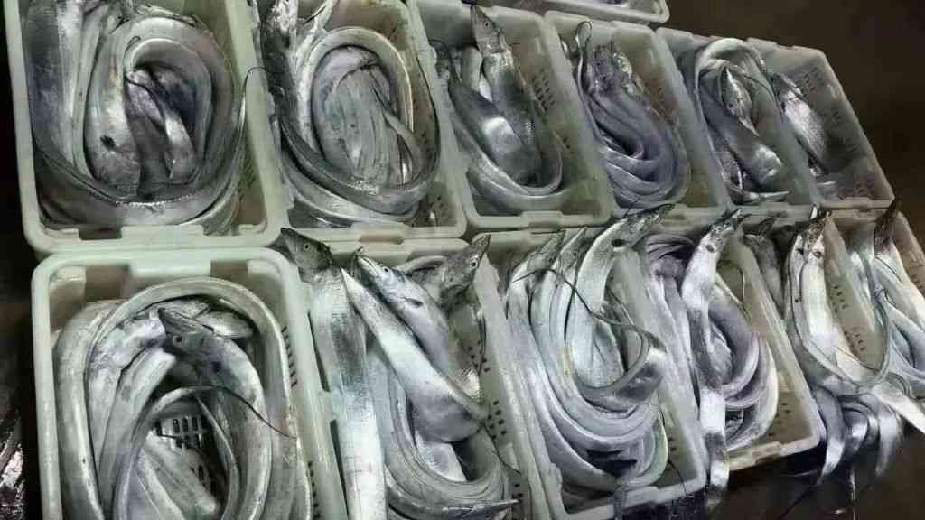 今日黃金價大連(大連今日黃金價格多少錢一克)