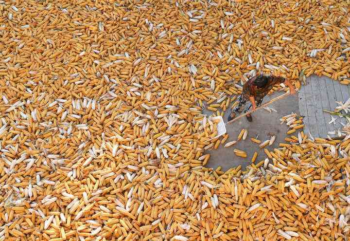 寶清縣今日黃金價格(寶清縣今日黃金價格查詢)插圖2