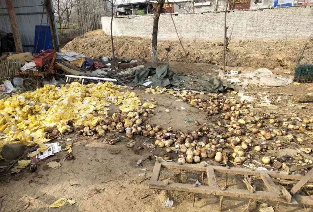 葉縣今日黃金價格查詢(葉縣今日黃金價格查詢消息)插圖5