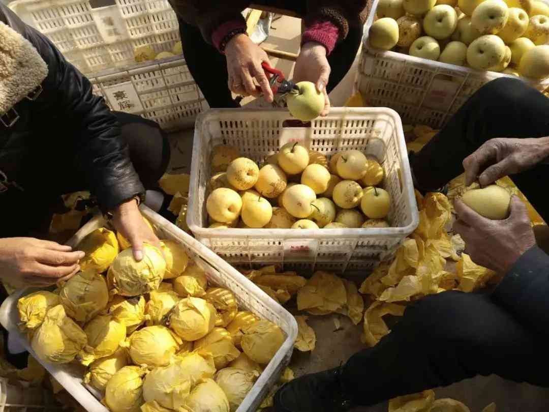 葉縣今日黃金價格查詢(葉縣今日黃金價格查詢消息)插圖6