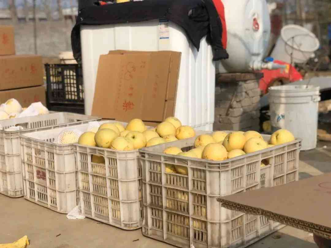 葉縣今日黃金價格查詢(葉縣今日黃金價格查詢消息)插圖7