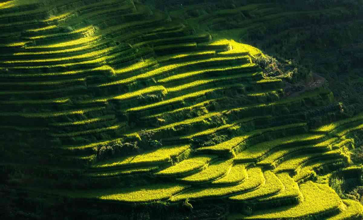 新化回收黃金價格今日查詢(新化回收黃金價格今日查詢表)