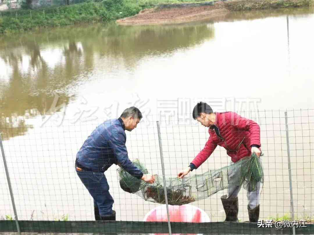 隆昌今日黃金價(jià)格查詢(隆昌今日黃金價(jià)格查詢消息)插圖3