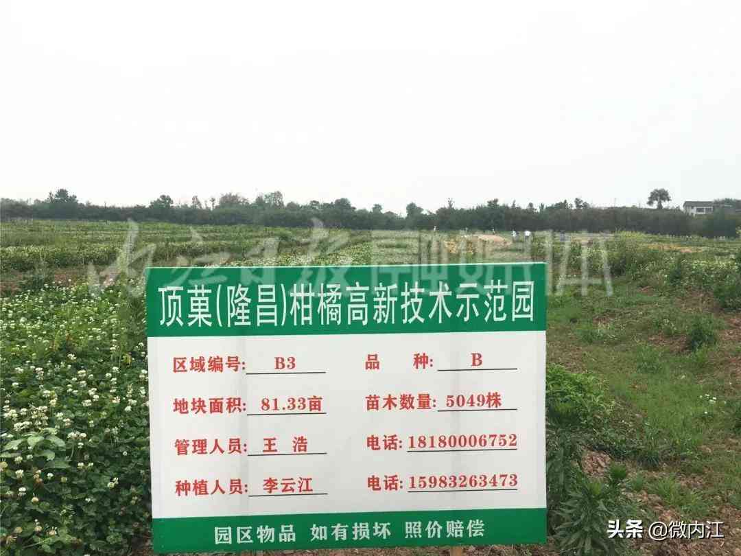 隆昌今日黃金價(jià)格查詢(隆昌今日黃金價(jià)格查詢消息)插圖4