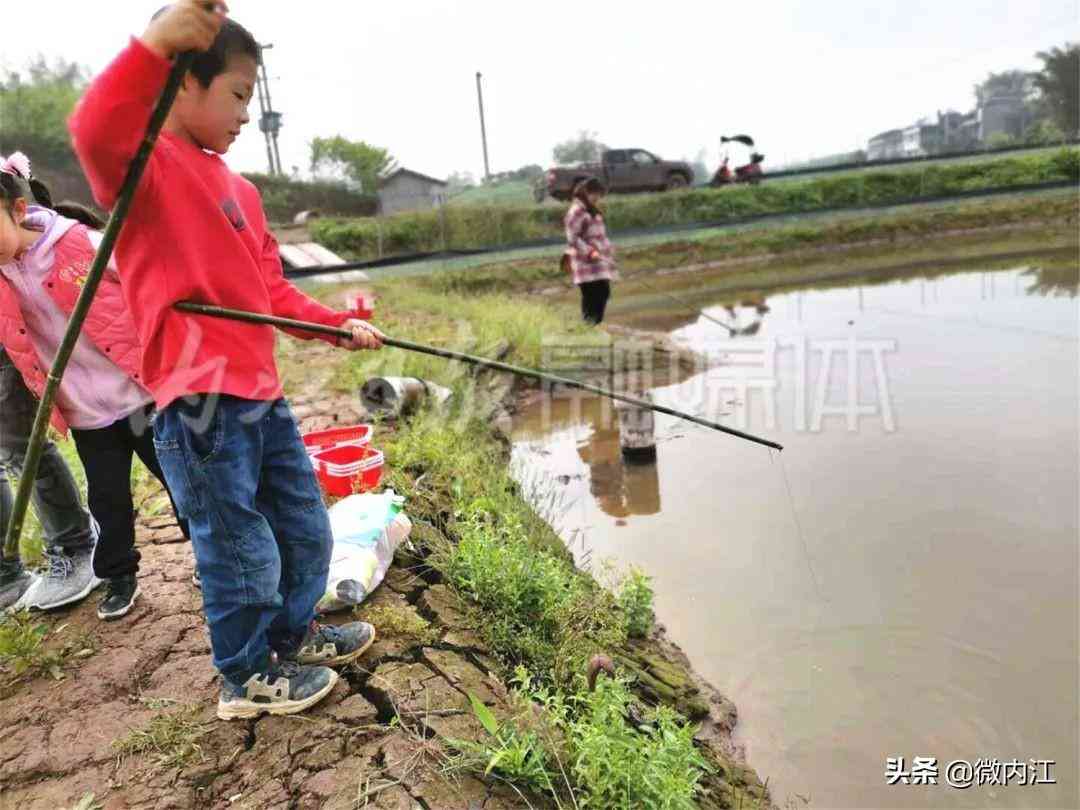 隆昌今日黃金價(jià)格查詢(隆昌今日黃金價(jià)格查詢消息)插圖6