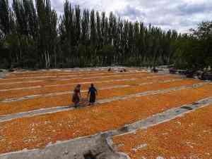 喀什今日黃金價(jià)(喀什今日黃金價(jià)格查詢(xún))插圖10