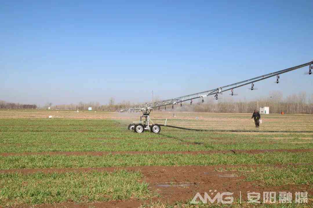 林州收購(gòu)黃金價(jià)格今日(林州收購(gòu)黃金價(jià)格今日消息)插圖1