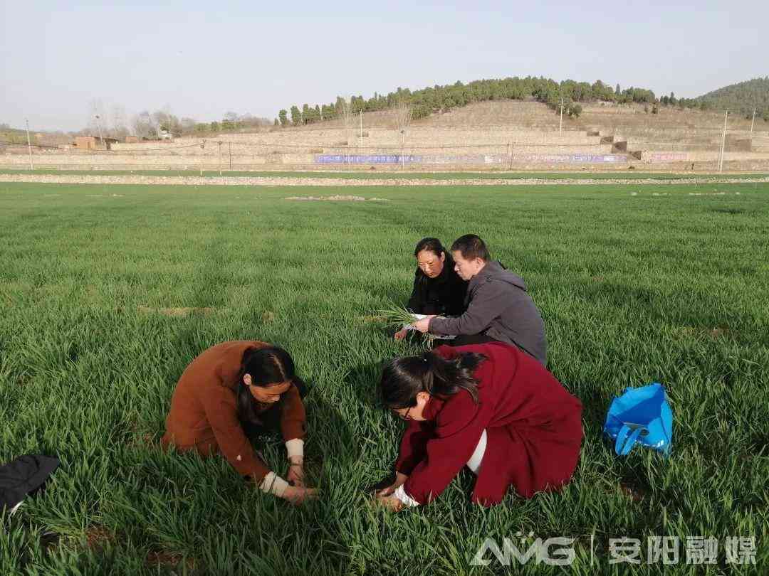 林州收購(gòu)黃金價(jià)格今日(林州收購(gòu)黃金價(jià)格今日消息)插圖2