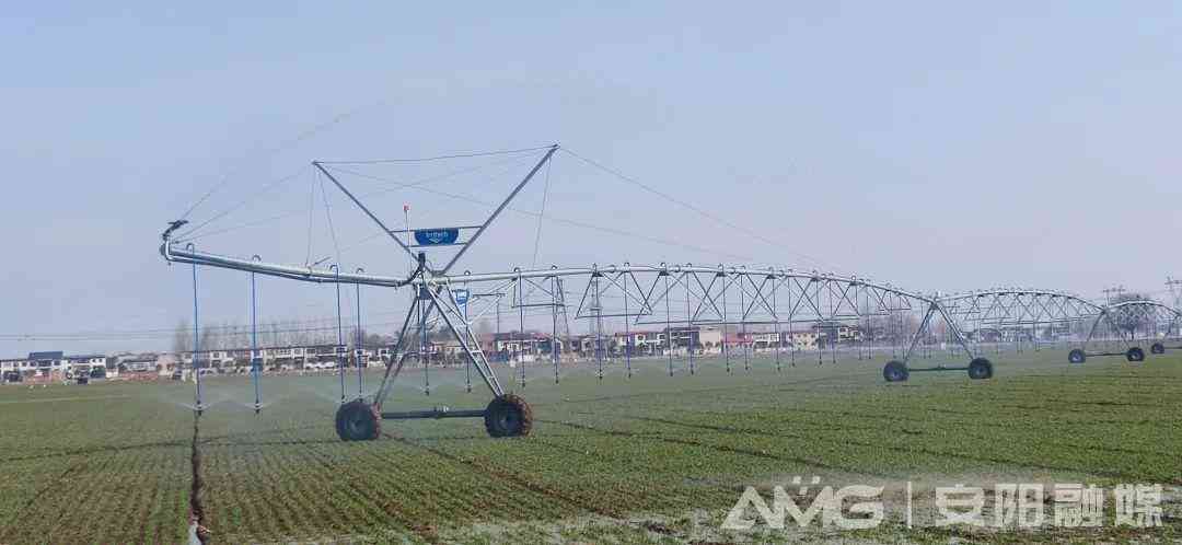 林州收購(gòu)黃金價(jià)格今日(林州收購(gòu)黃金價(jià)格今日消息)插圖3