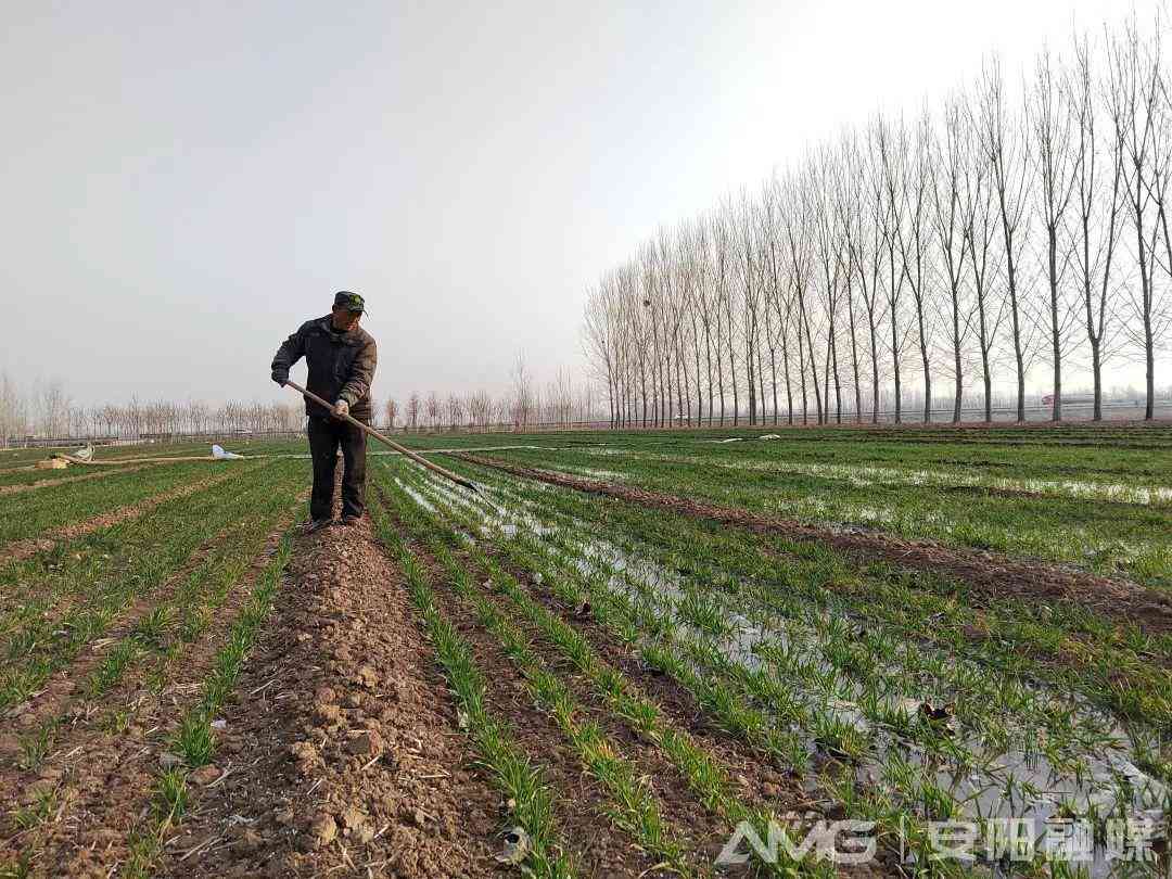 林州收購(gòu)黃金價(jià)格今日(林州收購(gòu)黃金價(jià)格今日消息)插圖4