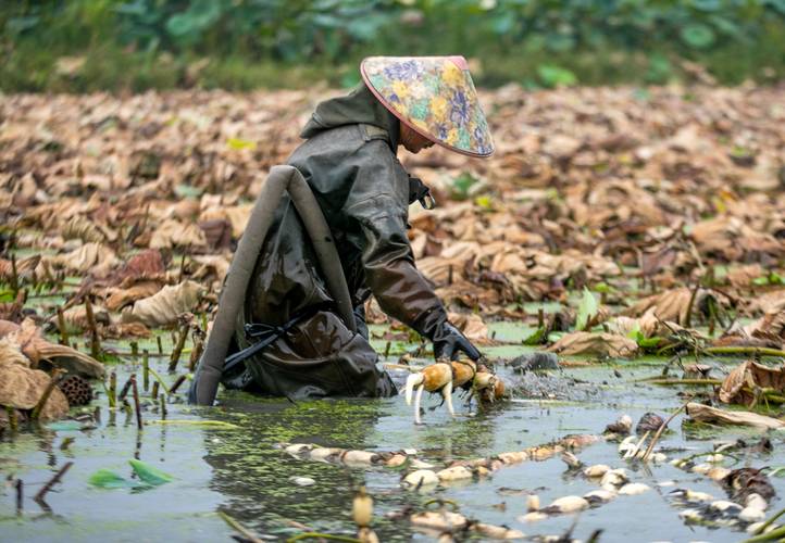 龍泉今日黃金價格查詢表(龍泉今日黃金價格查詢表)插圖6