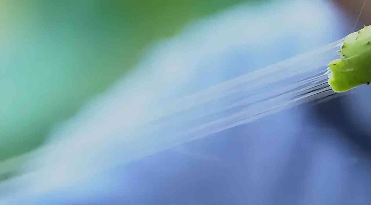 龍泉今日黃金價格查詢表(龍泉今日黃金價格查詢表)插圖7