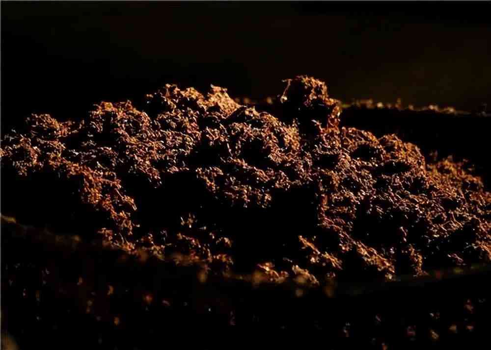 龍泉今日黃金價格查詢表(龍泉今日黃金價格查詢表)插圖20