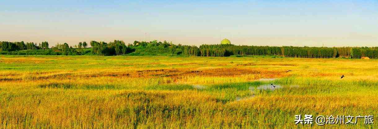 今日黃金價格海興(今日黃金價格275元)插圖1