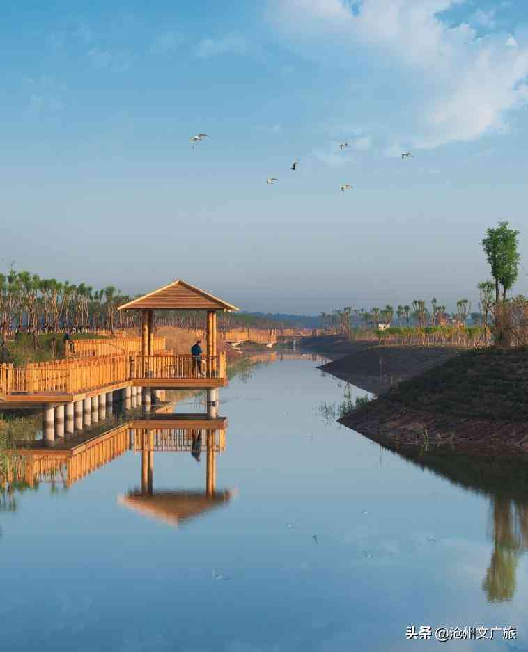 今日黃金價格海興(今日黃金價格275元)插圖3