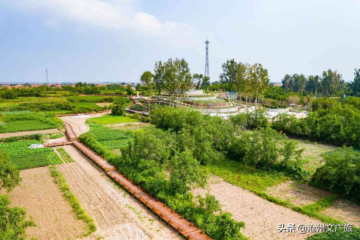 今日黃金價格海興(今日黃金價格275元)插圖6