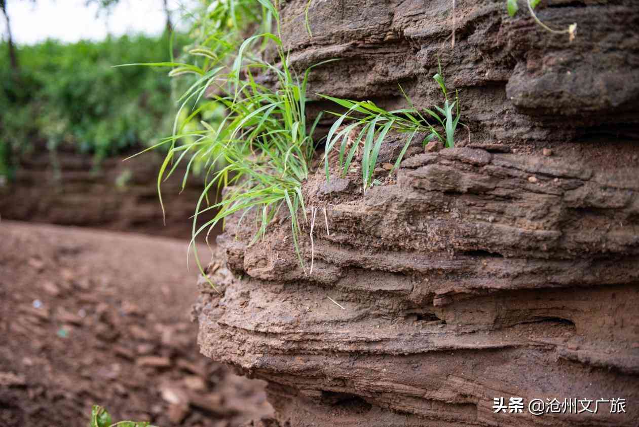 今日黃金價格海興(今日黃金價格275元)插圖7