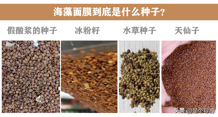 海藻巨補(bǔ)水化妝品好么(海藻化妝品的功效與作用)