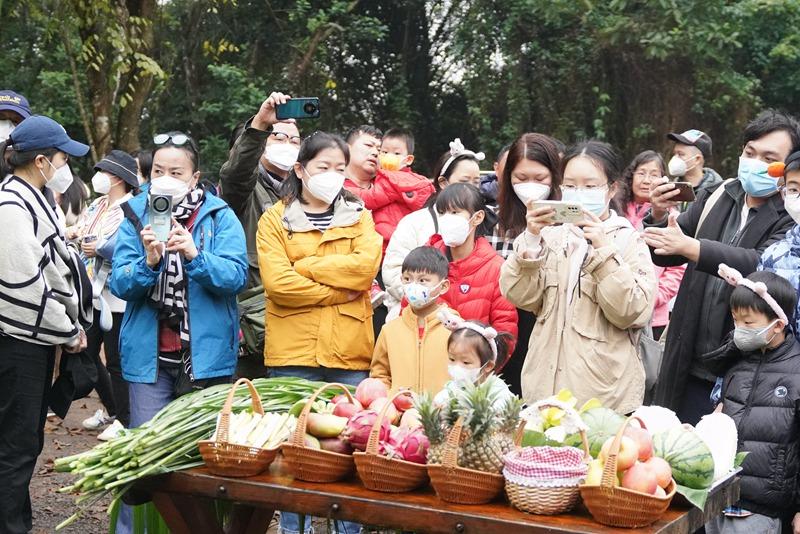 馮塘鄉(xiāng)化妝品店在哪兒里(馮塘鄉(xiāng)化妝品店在哪兒里啊)