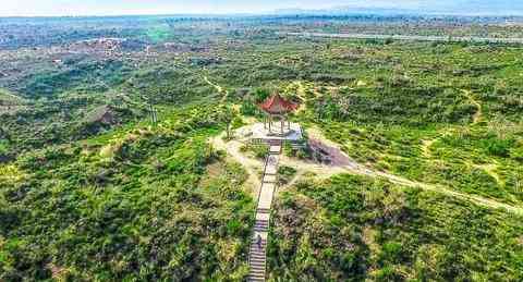 蒂奧傳奇化妝品(蒂奧傳奇化妝品是正品嗎)